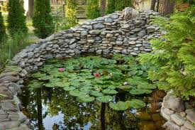 30 Raised Garden Pond Ideas And Diy Designs