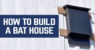 37 Free Diy Bat House Plans That Will