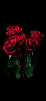Red Roses In A Dark Room 4k Phone Wallpaper