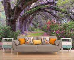 Forest Wallpaper Tree Wall Mural