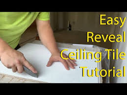 Cut Perimeter Reveal Ceiling Tiles