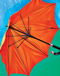The 34 Best Umbrellas You Can Buy The