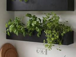 Wall Planters Curated Collection From