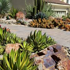 Drought Tolerant Landscaping Projects