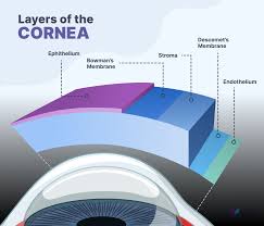 Corneal Dystrophy Causes Symptoms