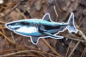 Great White Shark Sticker Phins Apparel