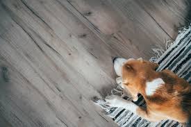 Wood Flooring For Dogs