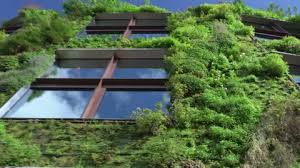 Vertical Garden Living Wall Green