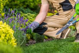 Spring Gardening In Utah
