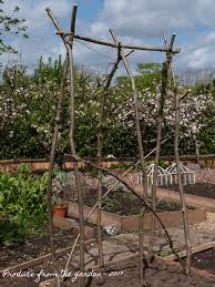 Willow And Hazel Craft From The Garden