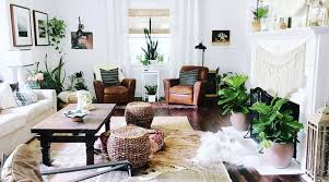 Feng Shui Friendly House Plants