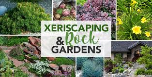 Rock Gardens Kiwi Nurseries Ltd