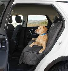 Best Dog Car Seat Covers Reviewed For