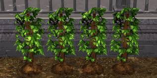 The Sims 3 Flowers