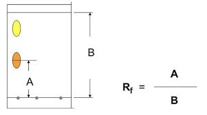 Rf Value To Identify Mixture Components