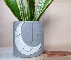 Solar Pot Astrology Moon Plant Pot