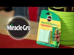 Miracle Gro Plant Food Spikes