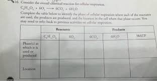Overall Chemical Reaction