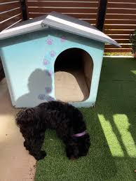 Free Dog Kennel Pet S