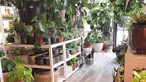 Plant Salon Ping In East Village