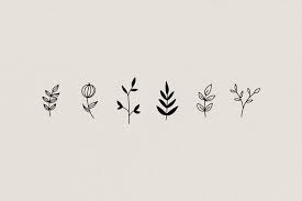 50 Hand Drawn Botanical Element Fl