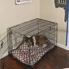 Diy Dog Crate