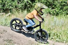 12 Best Balance Bikes For All Ages We