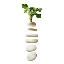 Turnip Icon Images Browse 9 778 Stock