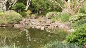 Tranquil Pond With Waterfall Japanese