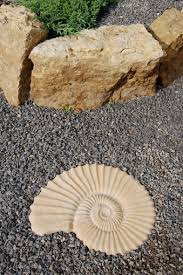 Fossil Sculptures Ammonite Stepping