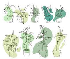 Potted Plant Outline Vector Art Icons