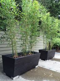 Bamboo Planters Bamboo Planter