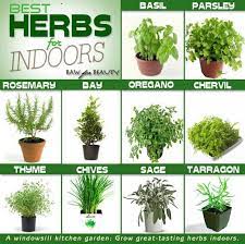 Indoor Herb Gardens