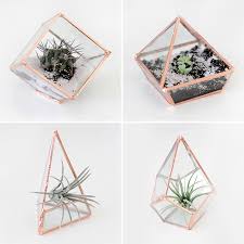 Glass Terrariums Why Don T You Make Me