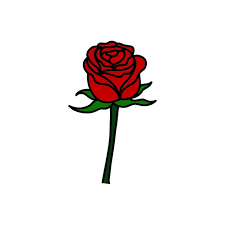 Rose Flower Icon Rose Flower Vector