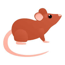 Rat Icon Cartoon Of Rat Vector Icon For