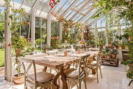 Best Climbing Plants For Conservatories