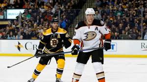 Boston Bruins Is It Worth Picking Up