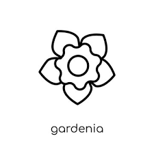 Gardenia Icon Trendy Modern Flat