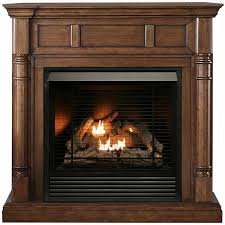 Dual Fuel Ventless Fireplace