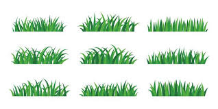 Cartoon Grass Vector Art Icons And