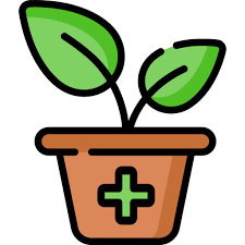 Plant Special Lineal Color Icon