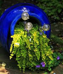Flower Pots Container Gardening