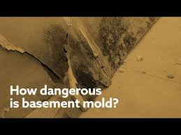 Can Mold In Basement Affect Upstairs