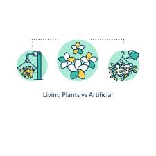 Artificial Plants Png Transpa