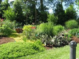 Juniper Botanical Gardens And Plant