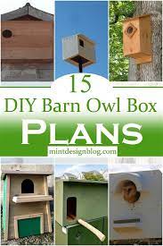 15 Free Diy Barn Owl Box Plans For Your
