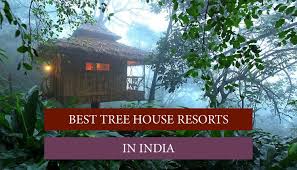 Best Tree House Resorts In India Tree