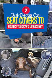 Top 7 Best Car Seat Covers For Dogs In 2023