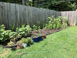 How To Create A Cut Flower Garden For